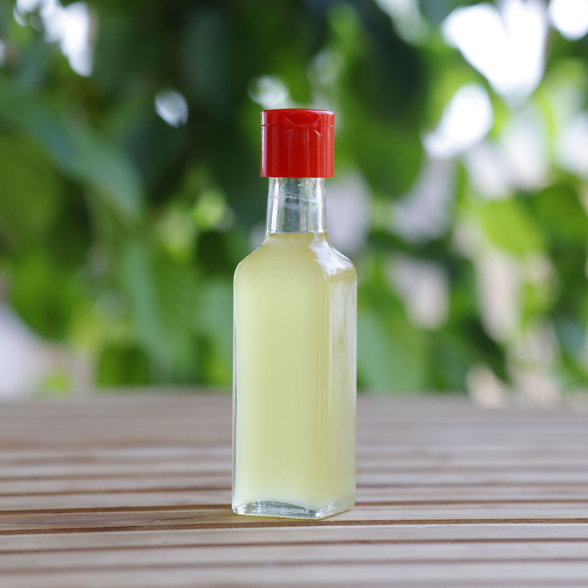 Palli Oil - Eddhu Ganuga Nune | Bull Churned Cold Pressed Groundnut Oil