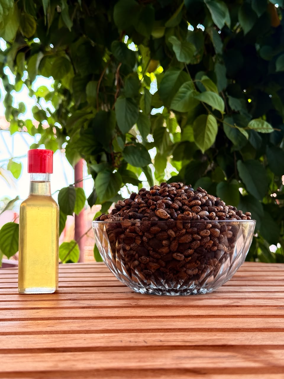 Amudham Nune - Eddhu Ganuga Nune | Bull Churned Cold Pressed Castor Oil